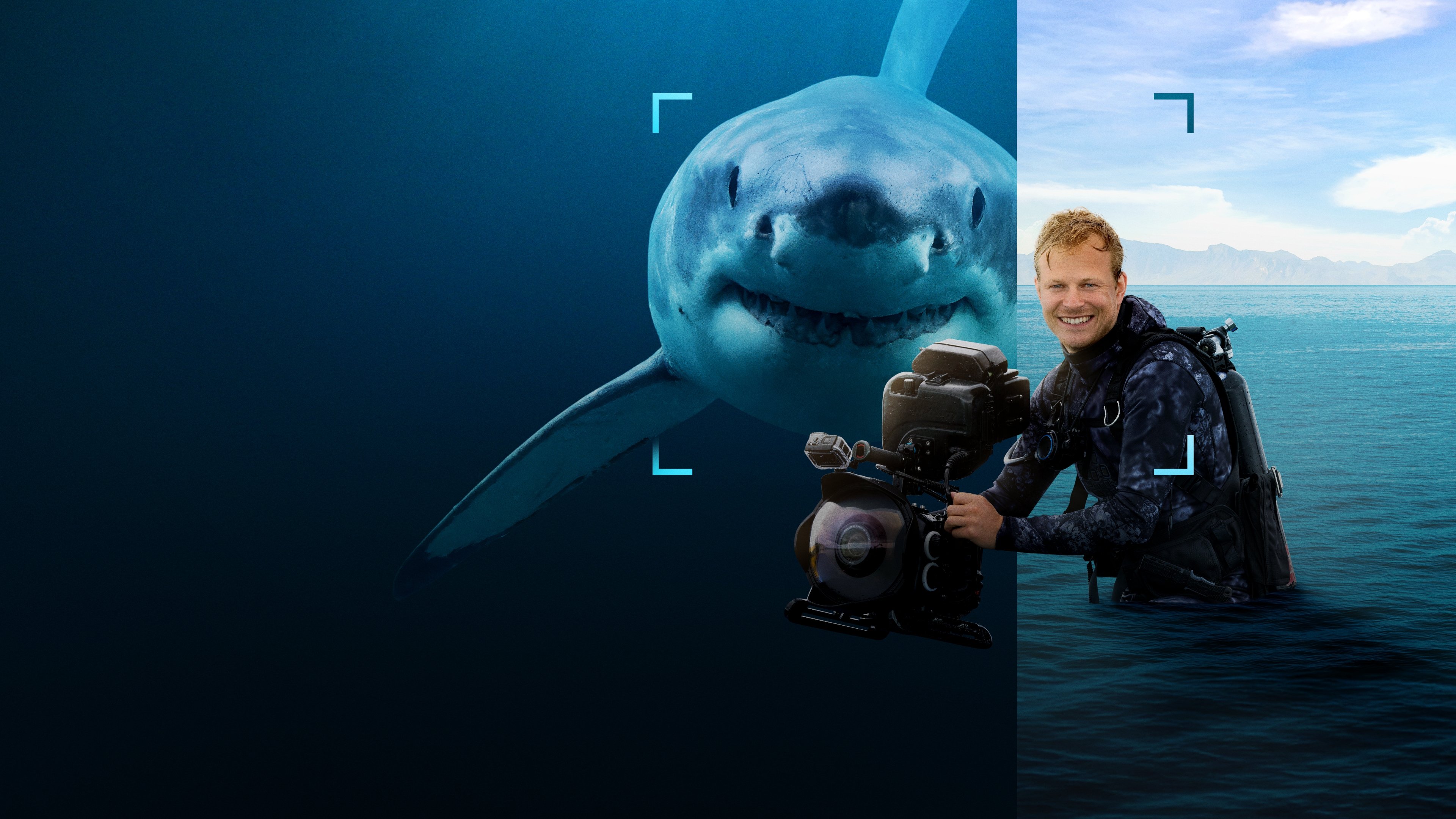Sharks Up Close with Bertie Gregory|Sharks Up Close with Bertie Gregory
