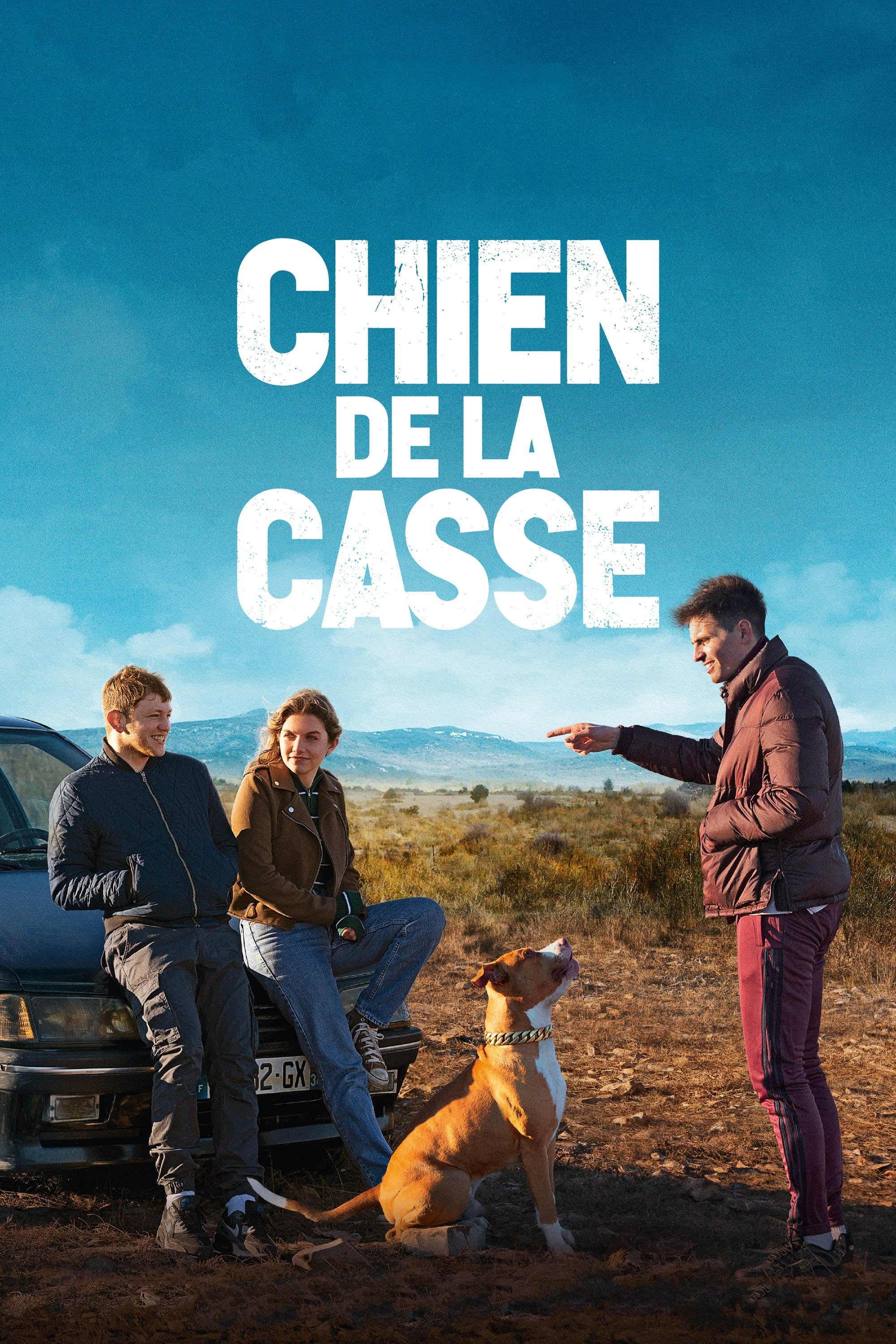 Chien de la casse | Chien de la casse