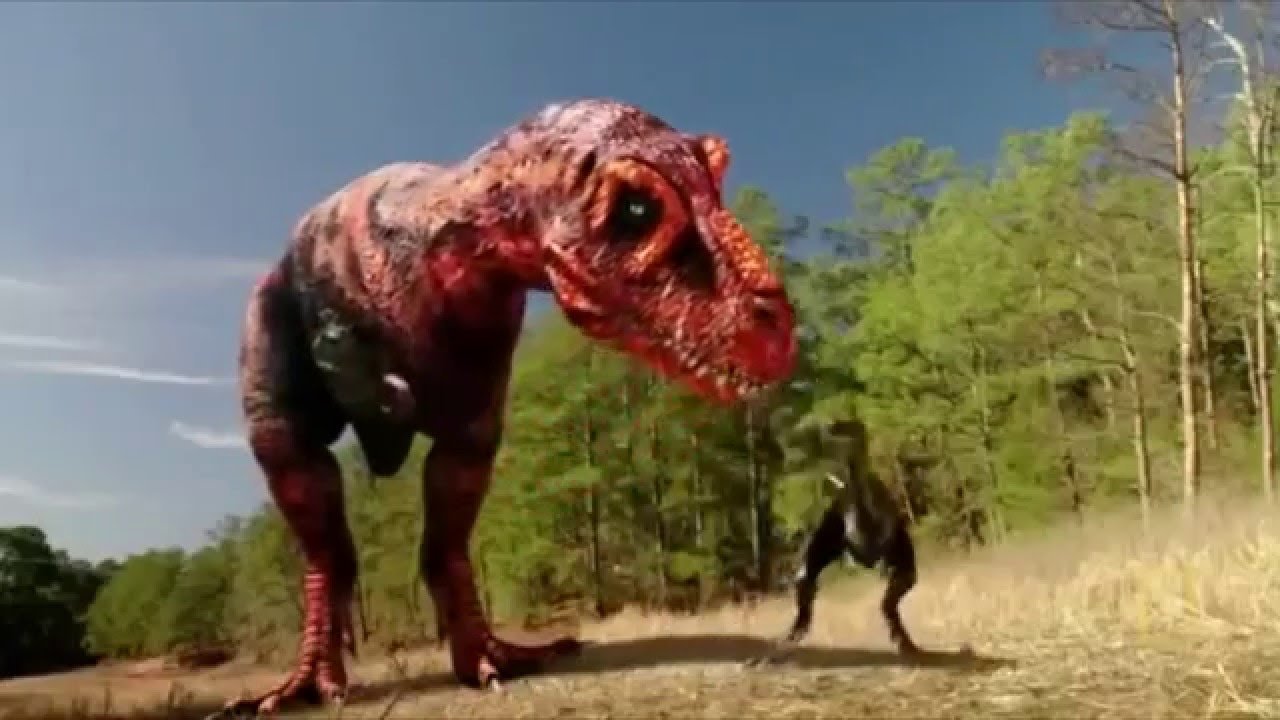 Dinosaurs Decoded|Dinosaurs Decoded