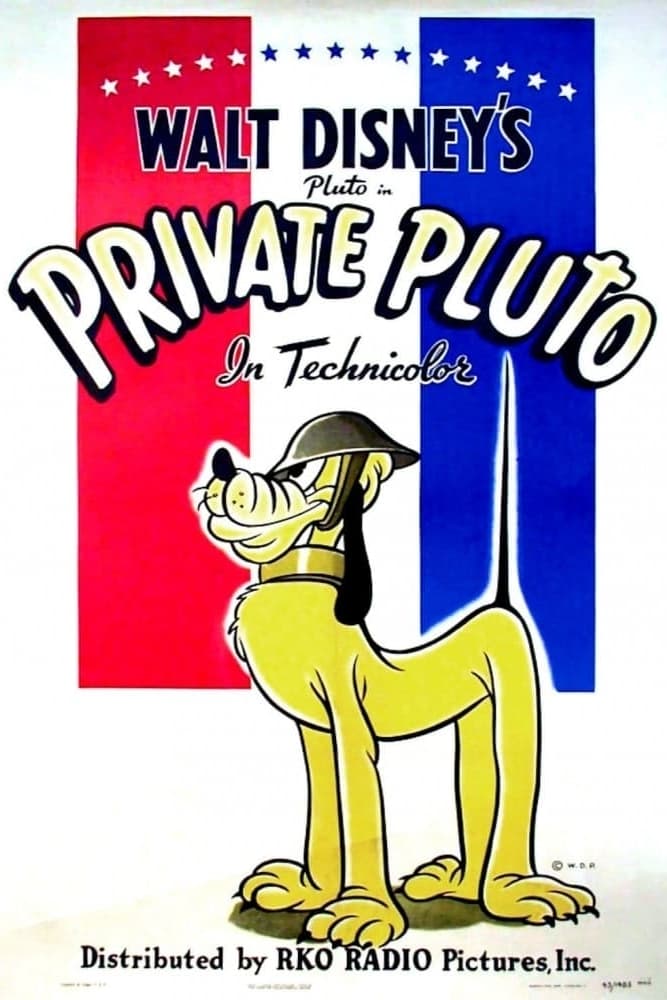 Private Pluto | Private Pluto