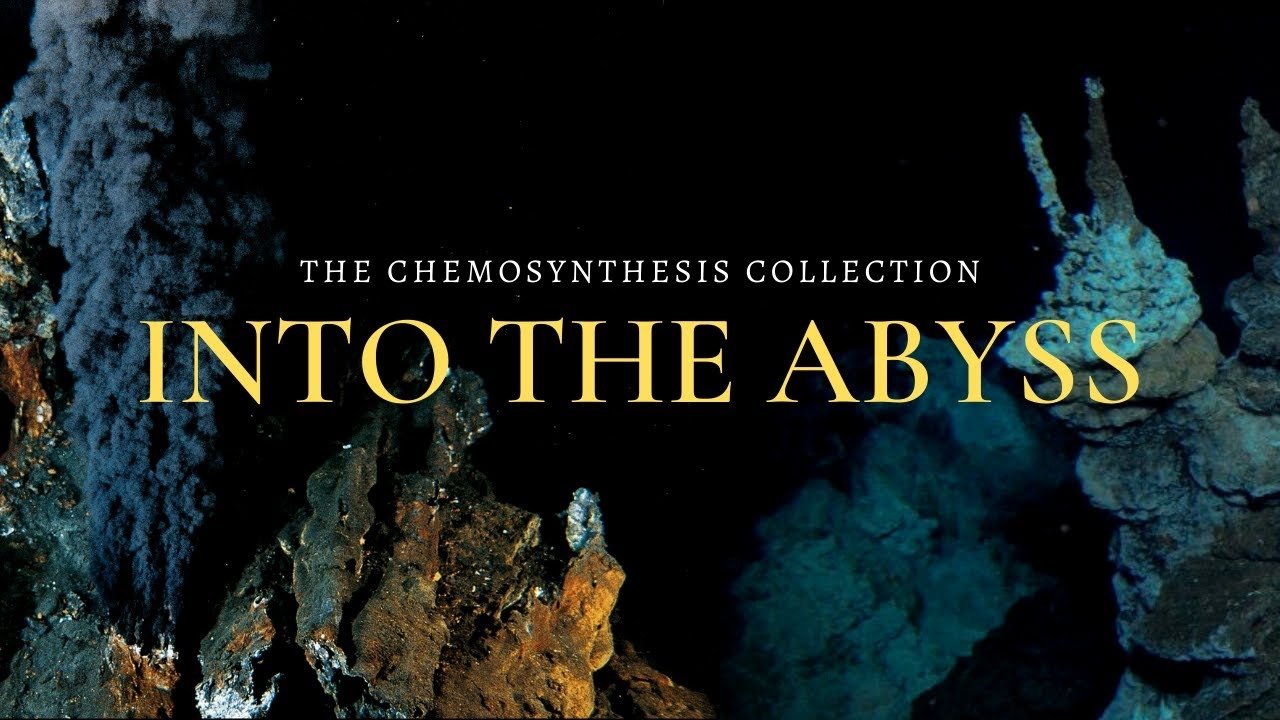 Into the Abyss: Chemosynthetic Oases|Into the Abyss: Chemosynthetic Oases