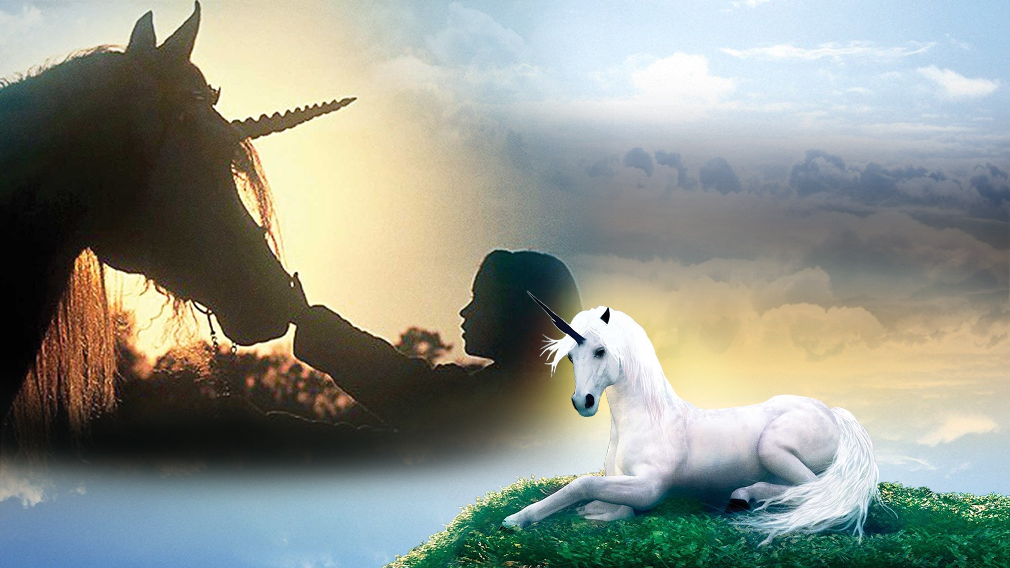 The Little Unicorn|The Little Unicorn