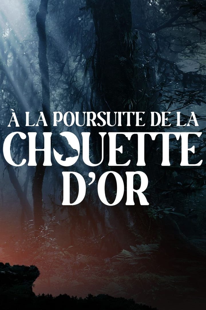 A la poursuite de la chouette d'or | A la poursuite de la chouette d'or