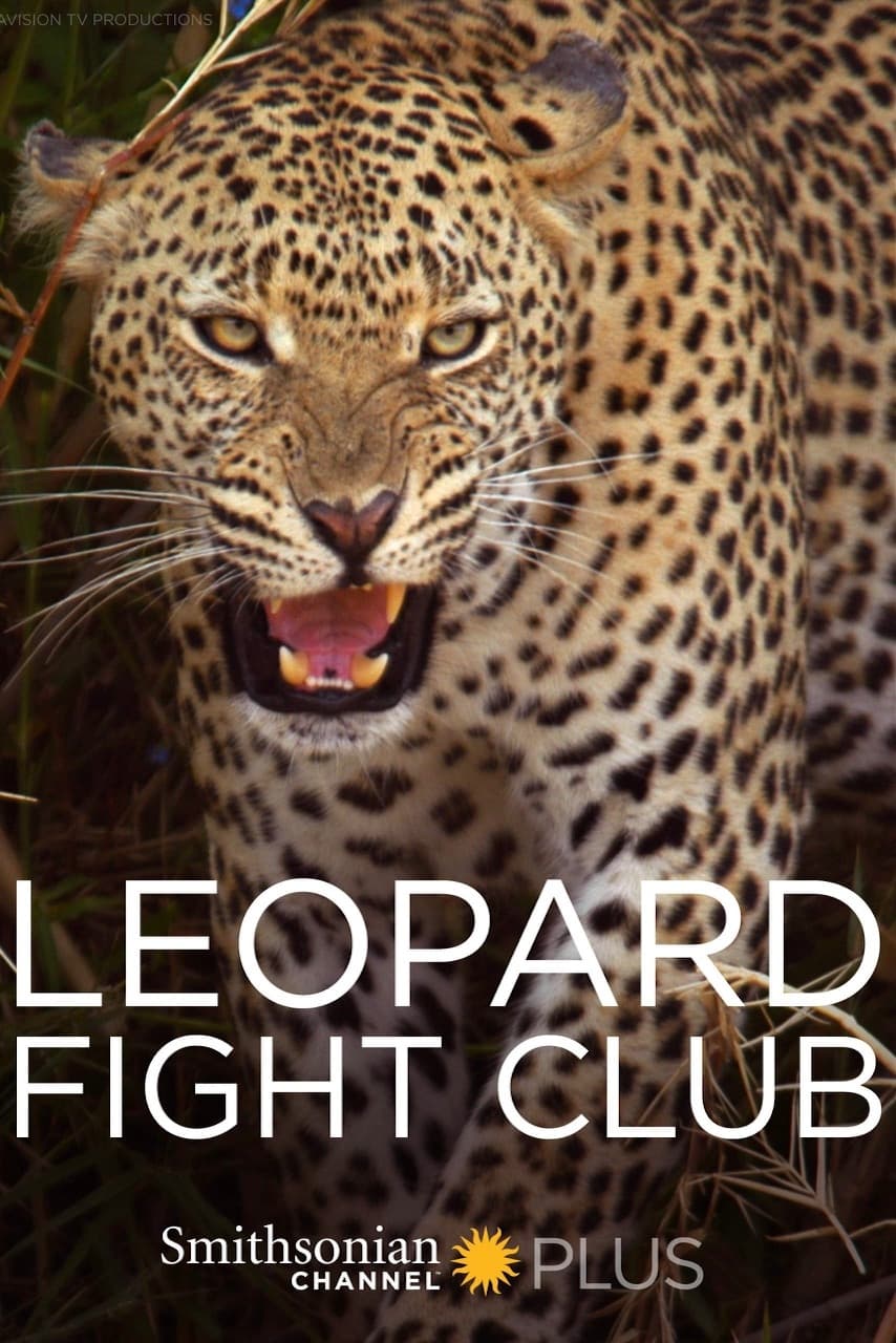 Leopard Fight Club | Leopard Fight Club