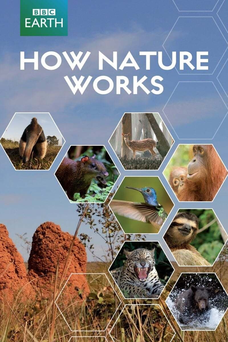 How Nature Works | How Nature Works