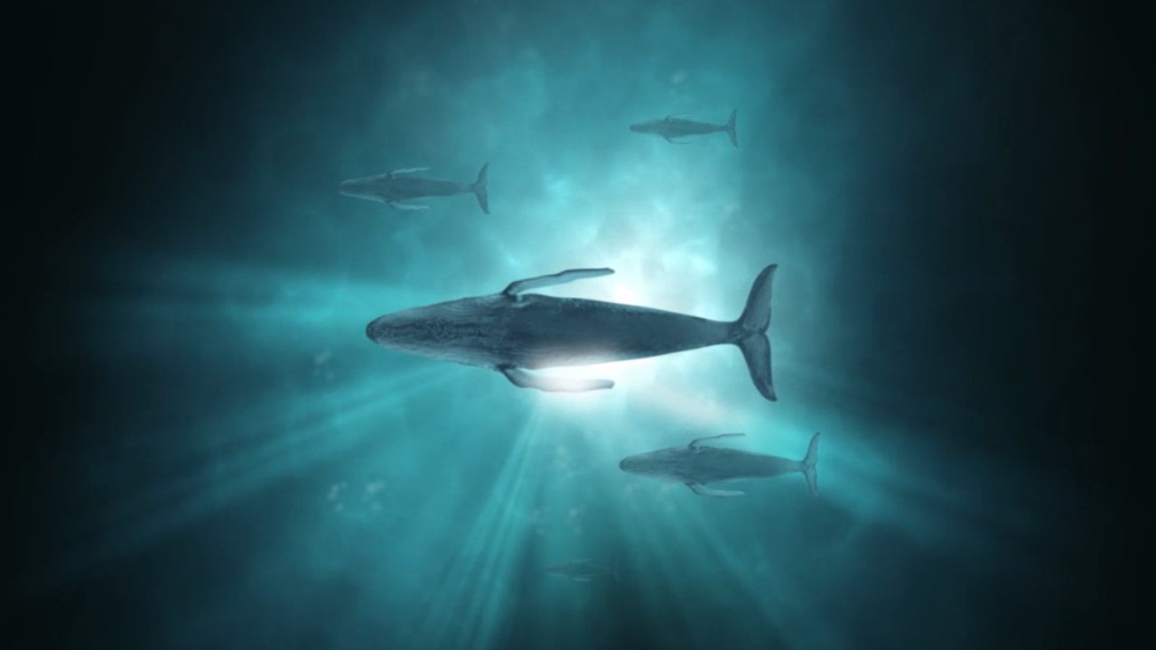 Sonic Sea|Sonic Sea
