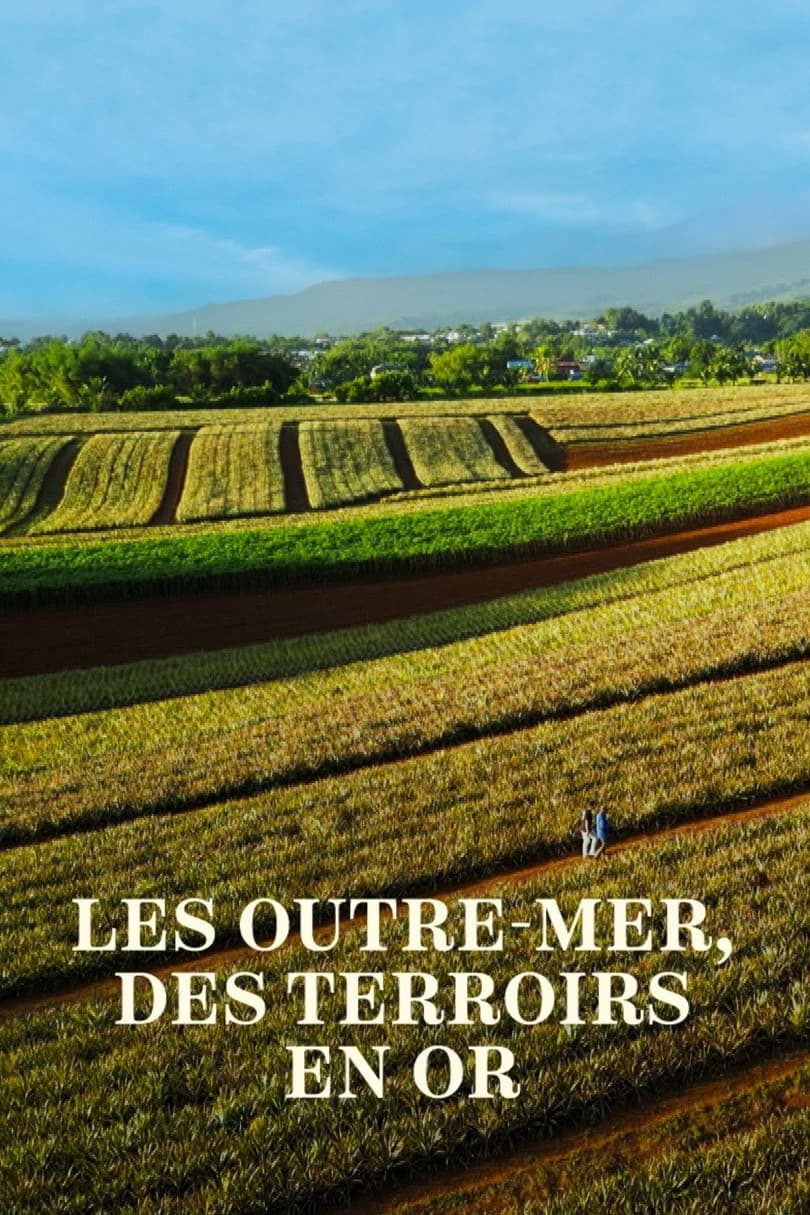 Les Outre-mer, des terroirs en or | Les Outre-mer, des terroirs en or