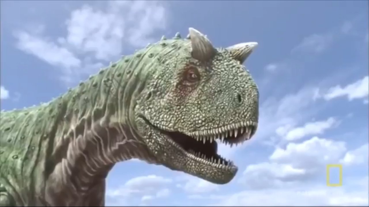 Life After Dinosaurs|Life After Dinosaurs
