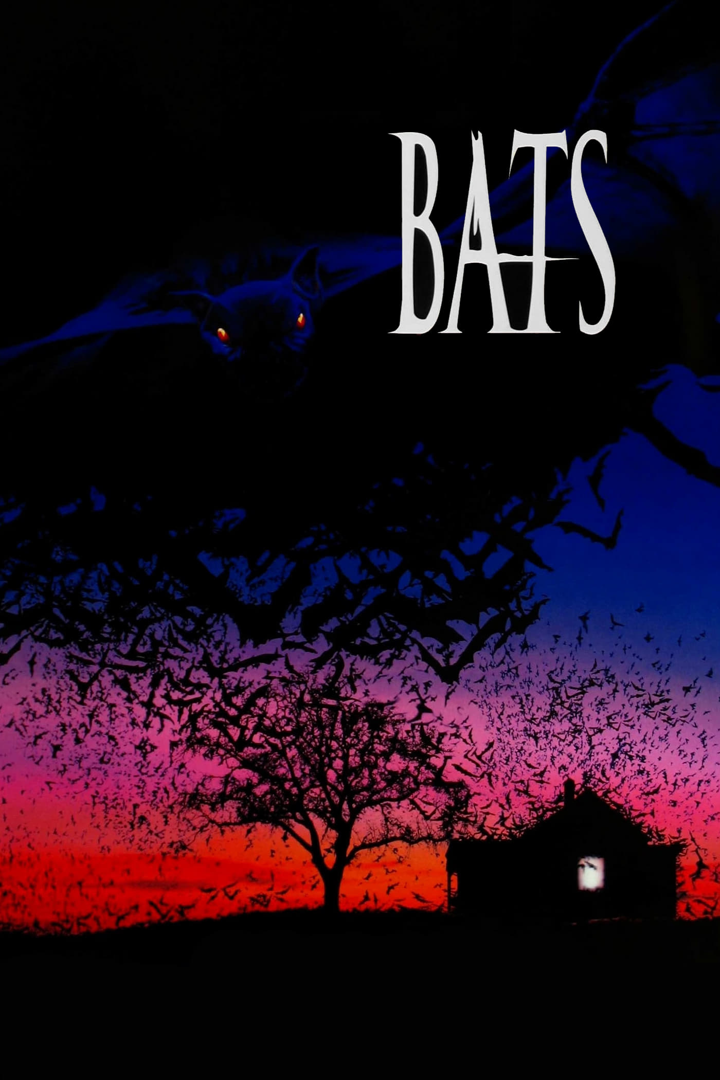 Bats | Bats