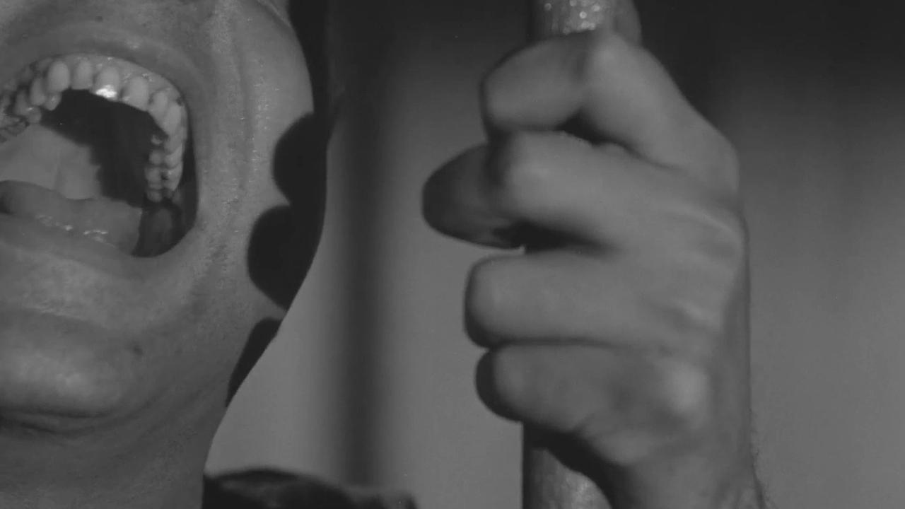 La primera mirada: historia de una escuela de cine|La primera mirada: historia de una escuela de cine