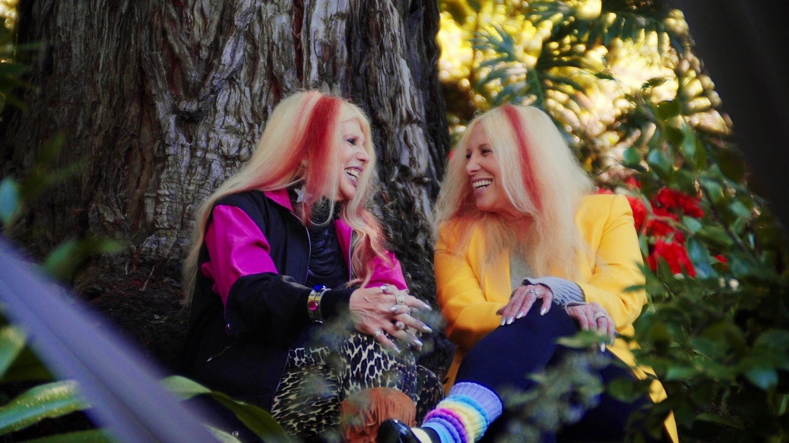 The Starr Sisters|The Starr Sisters