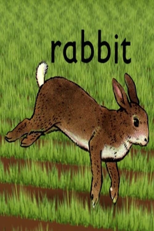 Rabbit | Rabbit