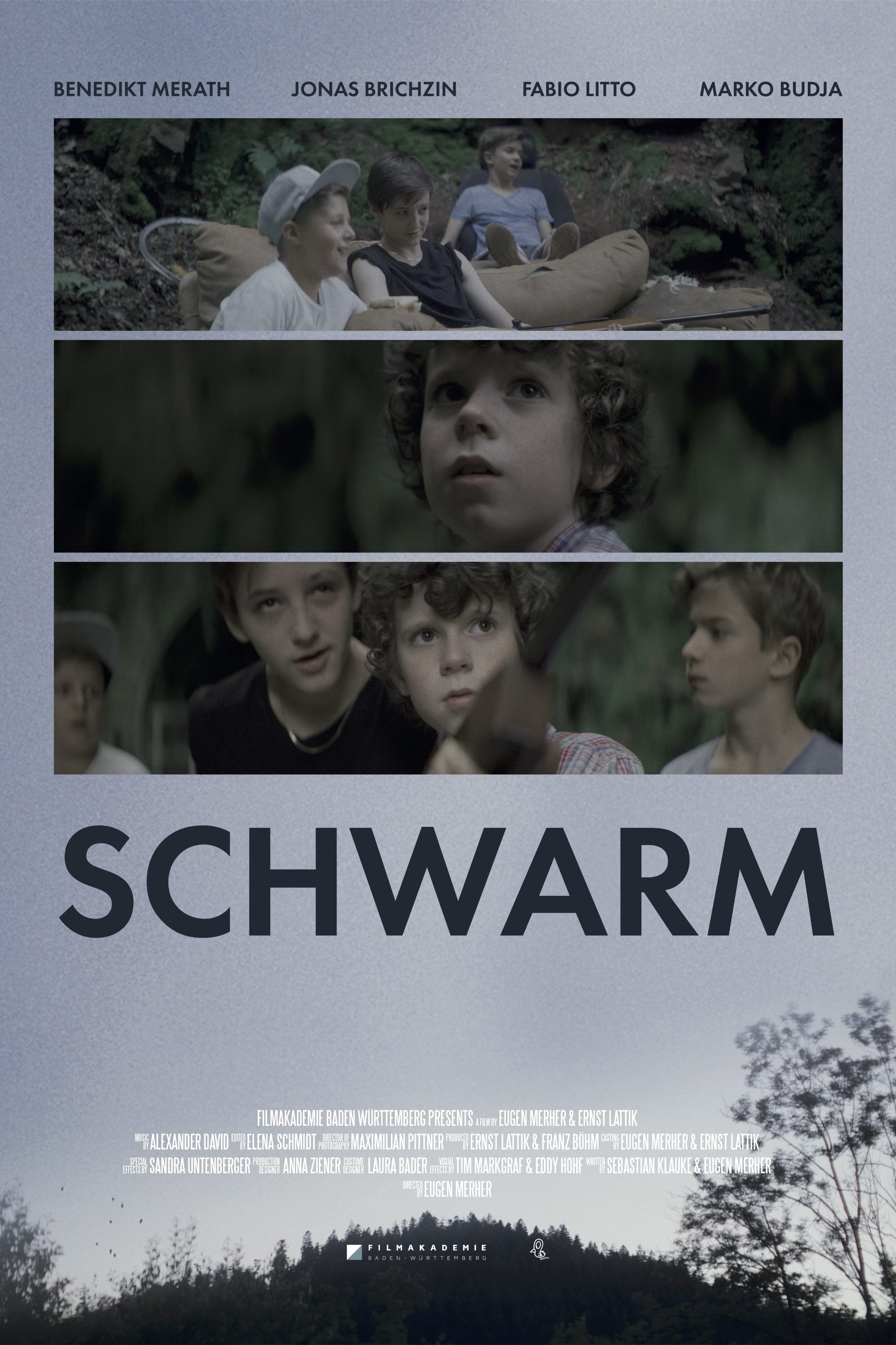 Schwarm