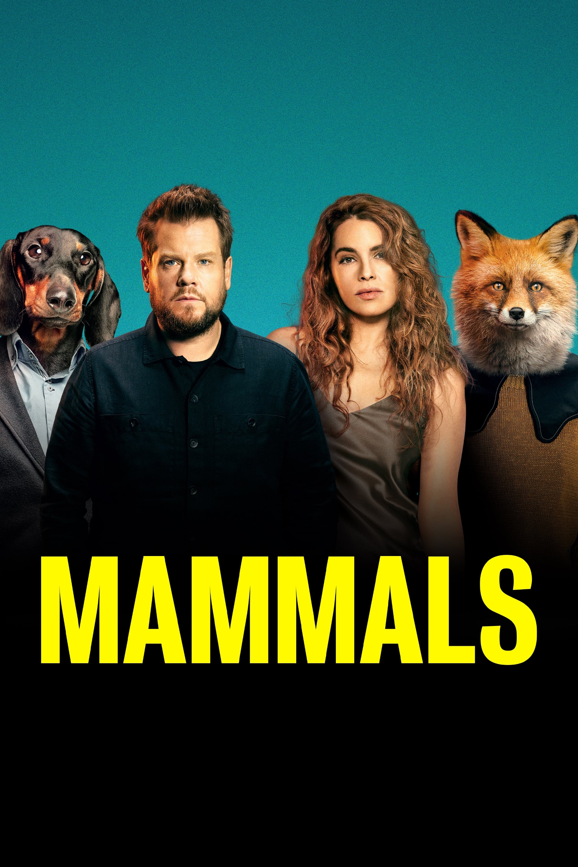 Mammals | Mammals