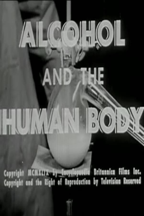 Alcohol and the Human Body | Alcohol and the Human Body