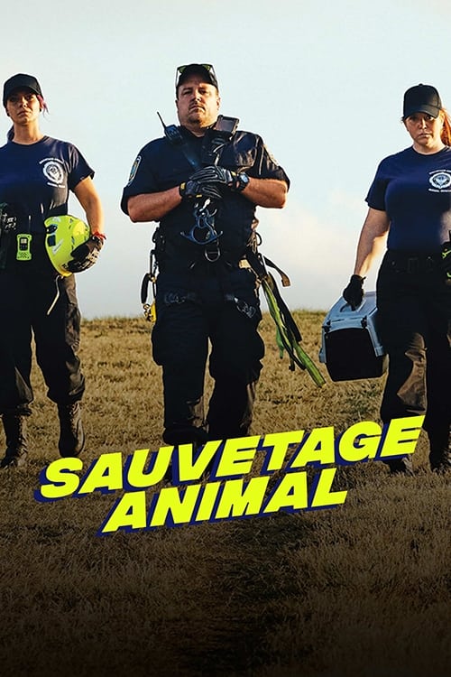 Sauvetage animal | Sauvetage animal