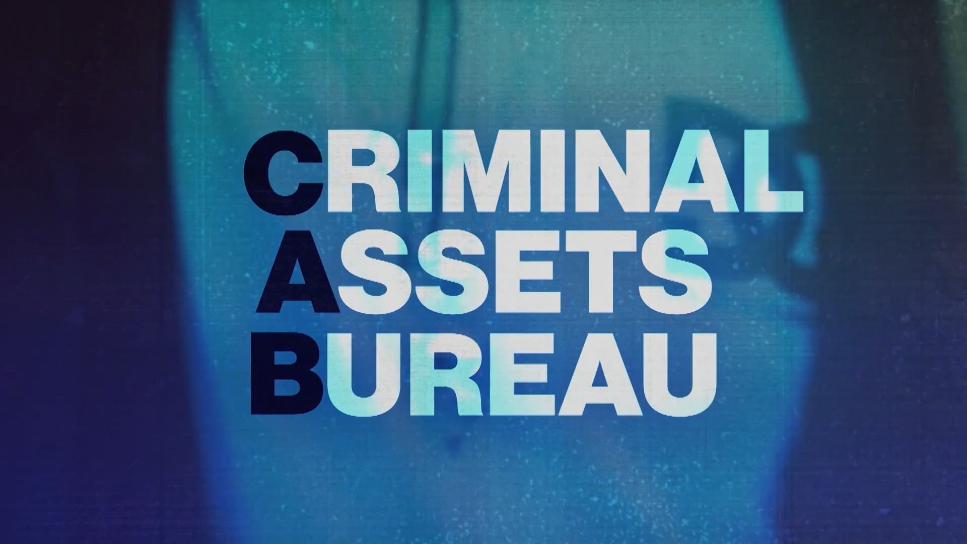 Criminal Assets Bureau|Criminal Assets Bureau