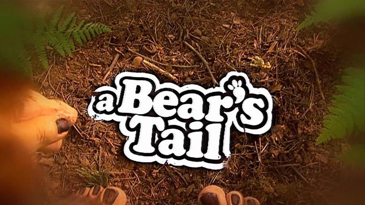 A Bear's Tail|A Bear's Tail