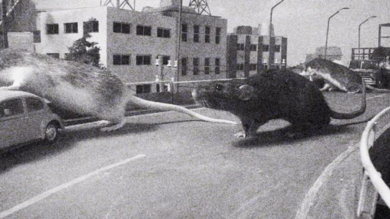 ネズラ1964|ネズラ1964
