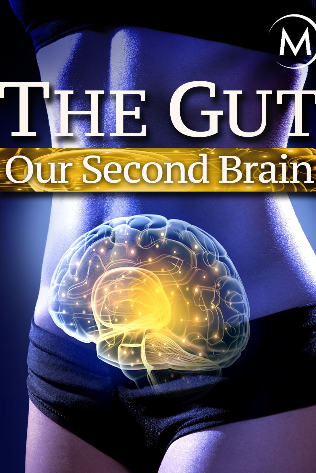 The Gut: Our Second Brain | The Gut: Our Second Brain