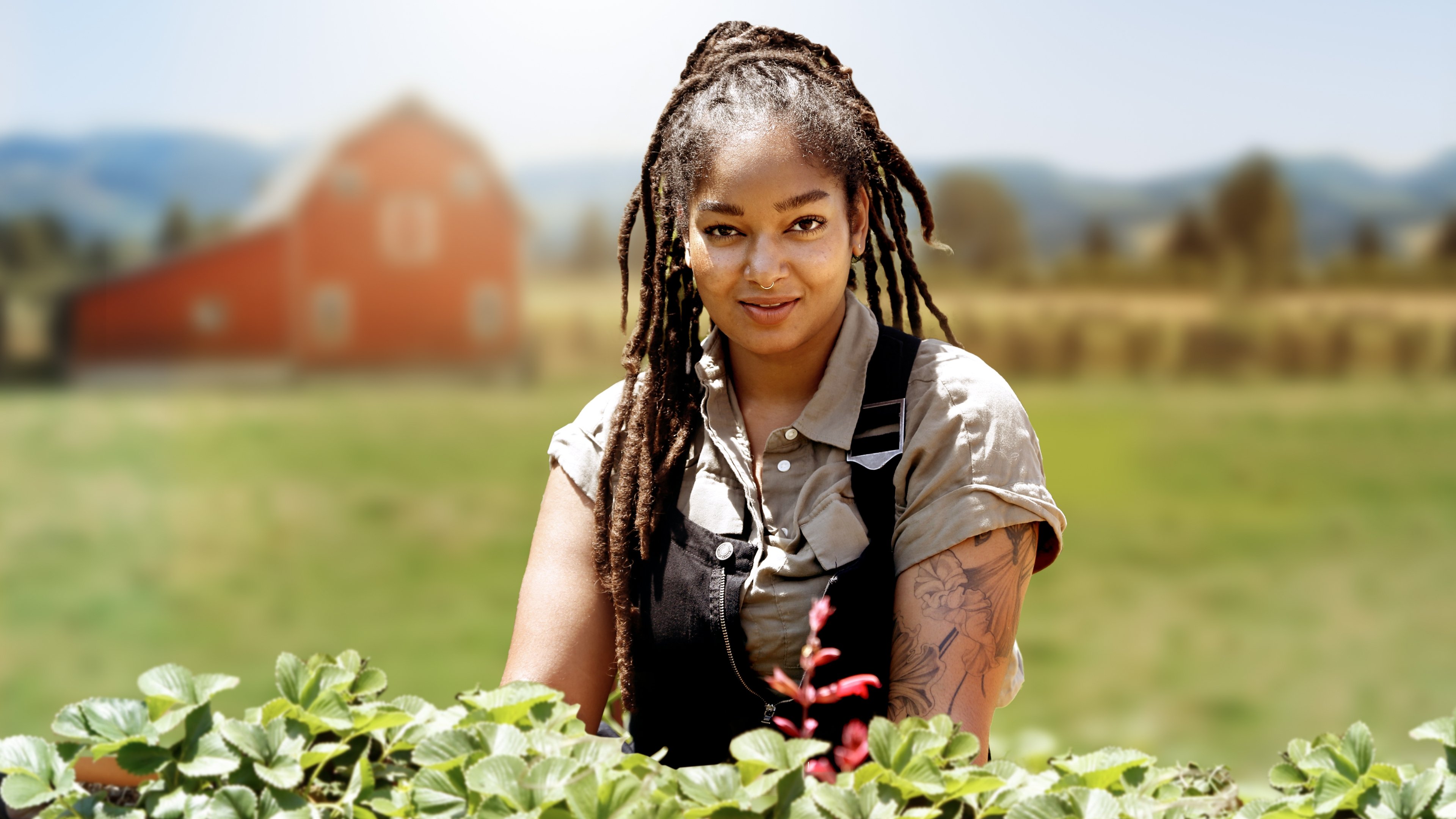 Farm Dreams|Farm Dreams
