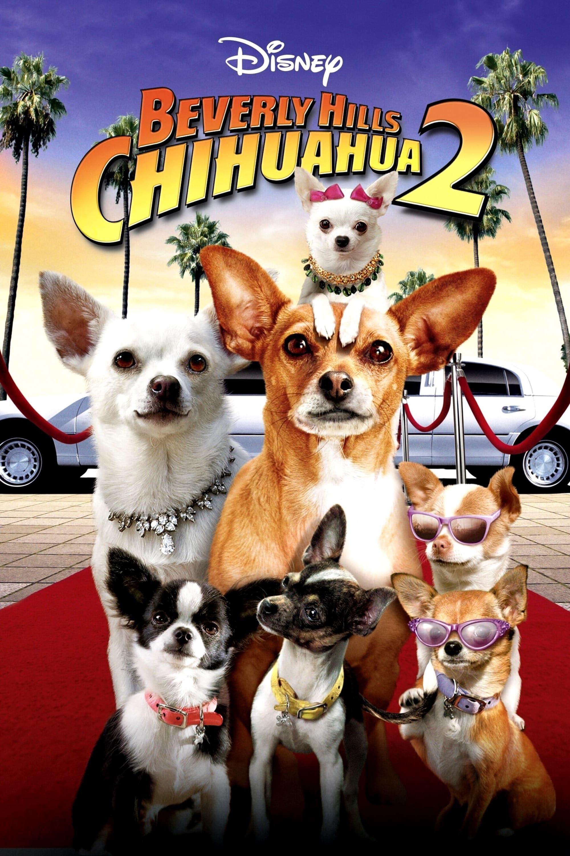 Beverly Hills Chihuahua 2 | Beverly Hills Chihuahua 2