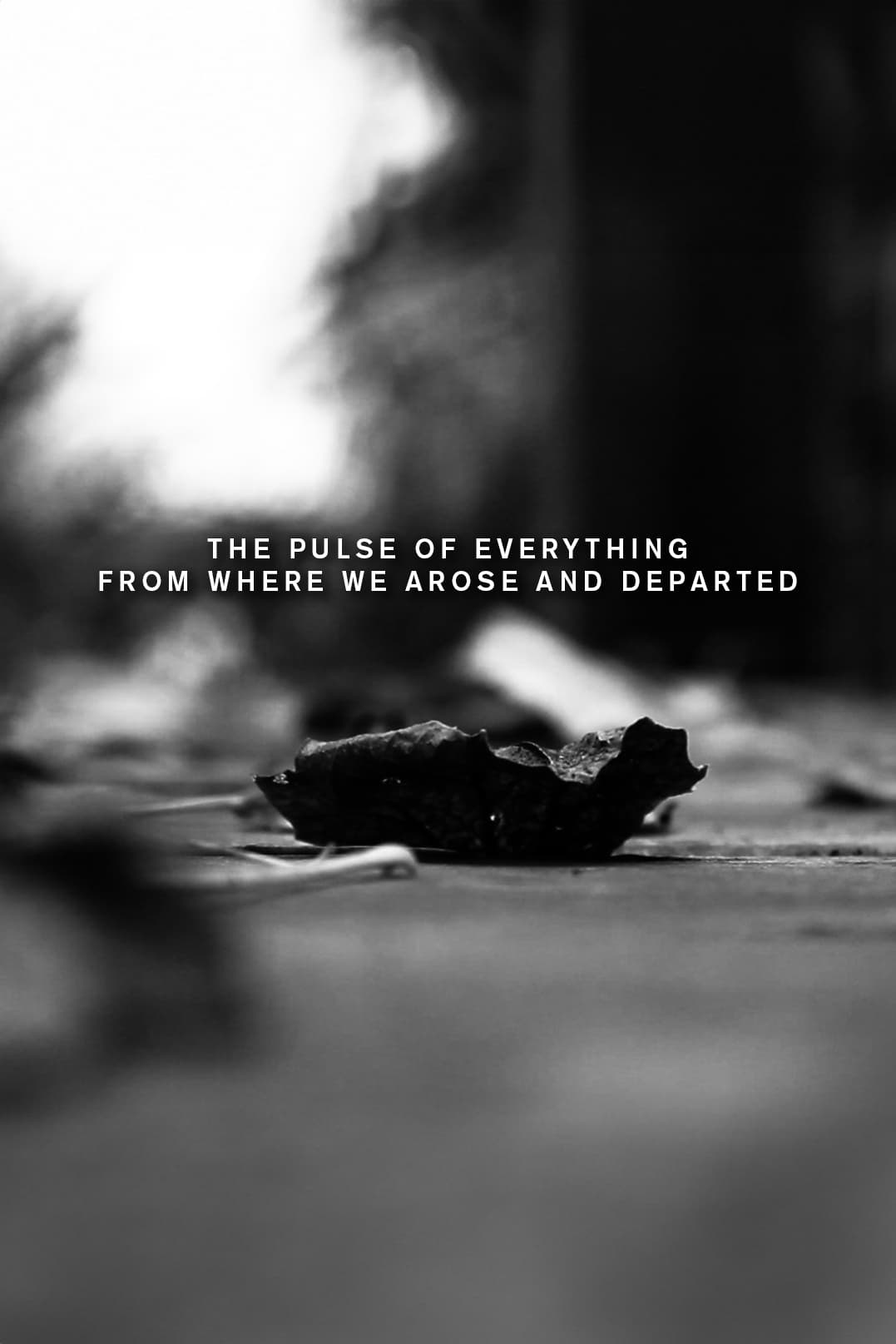 The pulse of everything from where we arose and departed | The pulse of everything from where we arose and departed