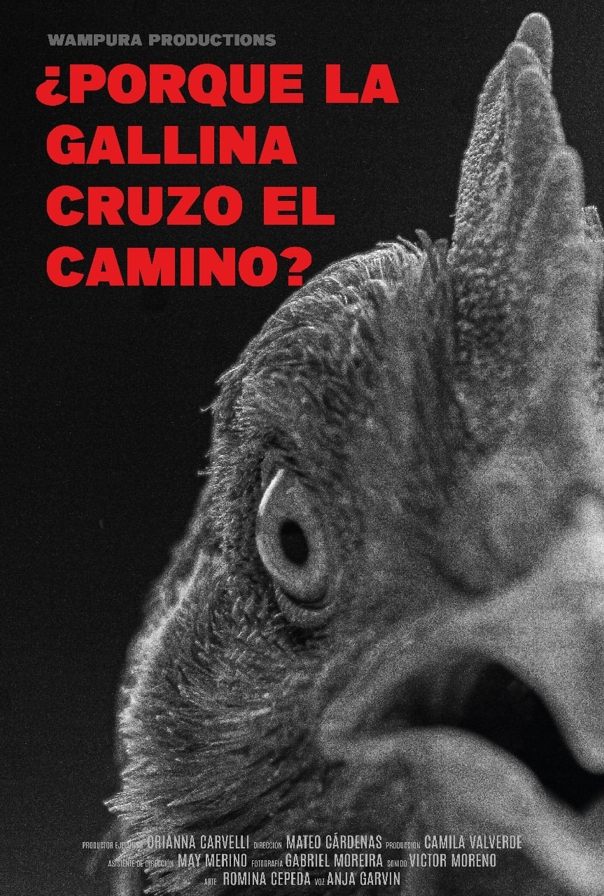 ¿Por qué la gallina cruzó el camino? | ¿Por qué la gallina cruzó el camino?