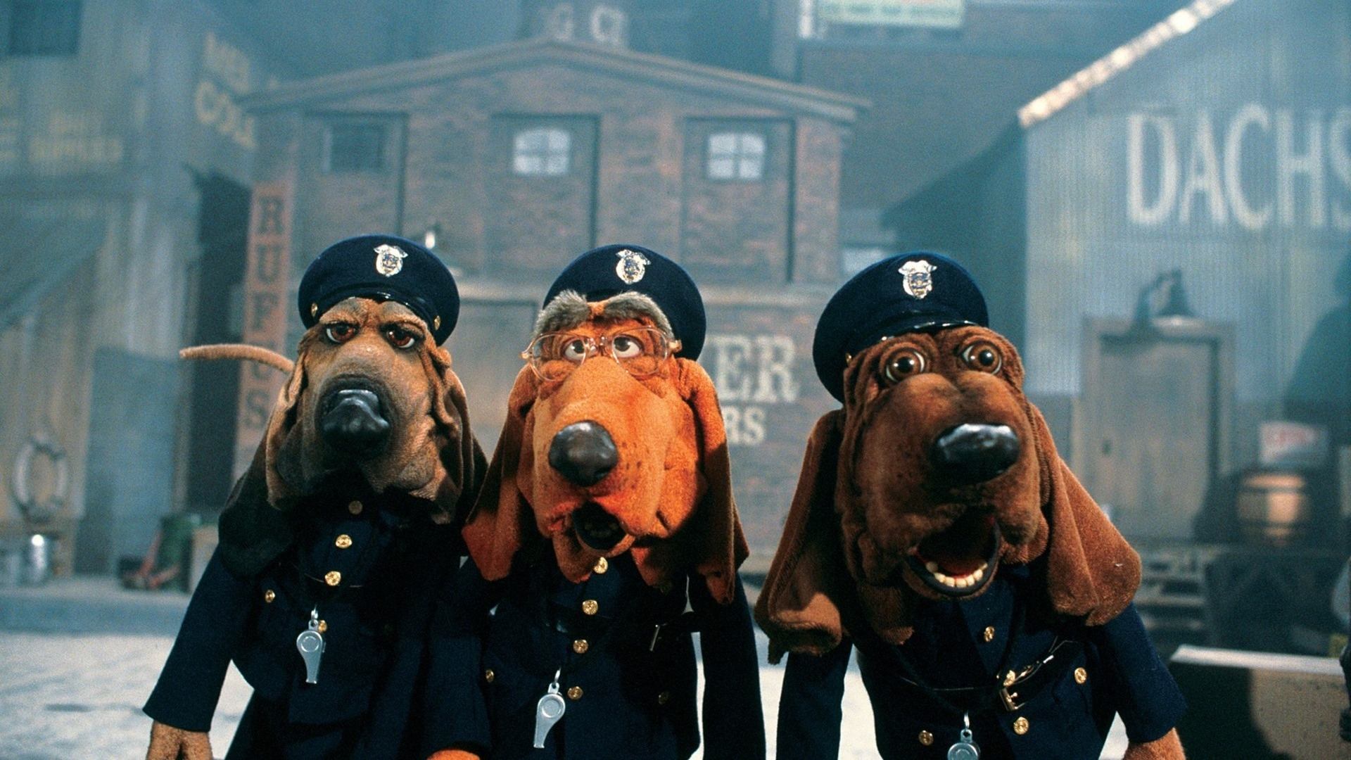 Dog City: The Movie|Dog City: The Movie