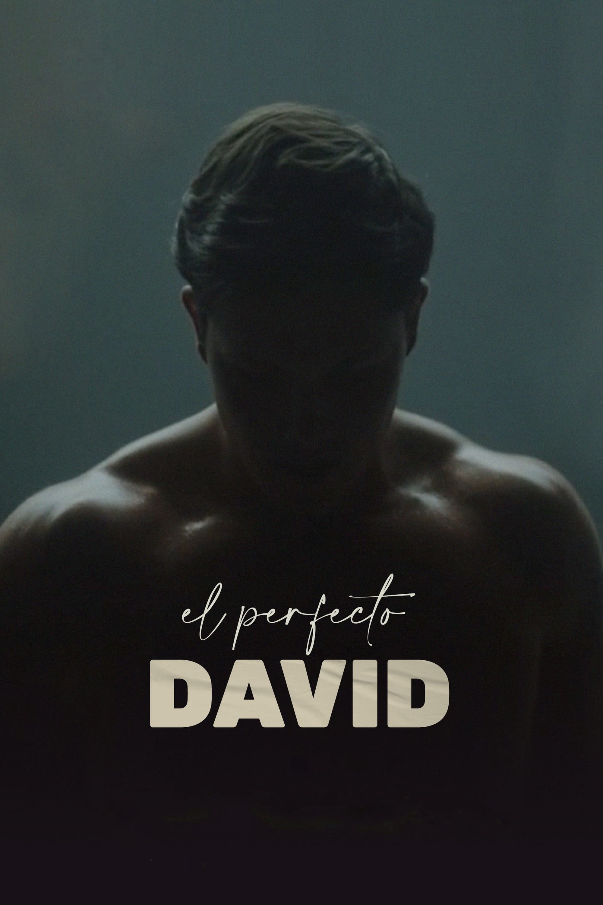 El perfecto David | El perfecto David