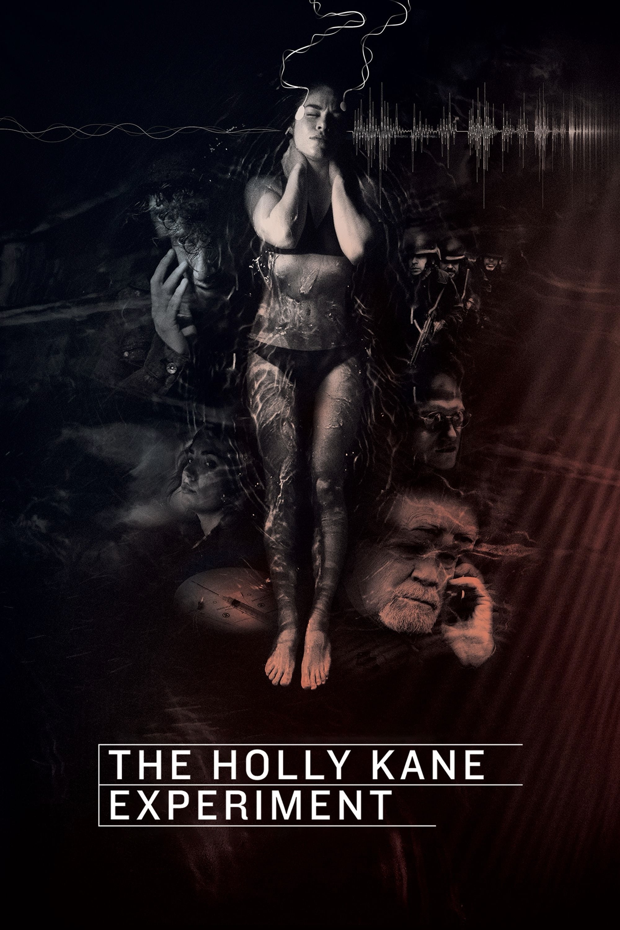 The Holly Kane Experiment | The Holly Kane Experiment