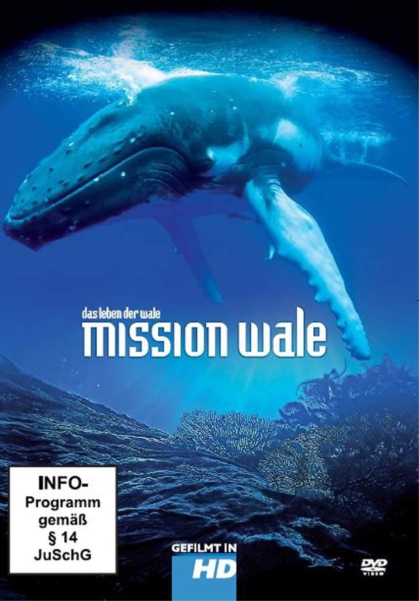 Mission Wale | Mission Wale