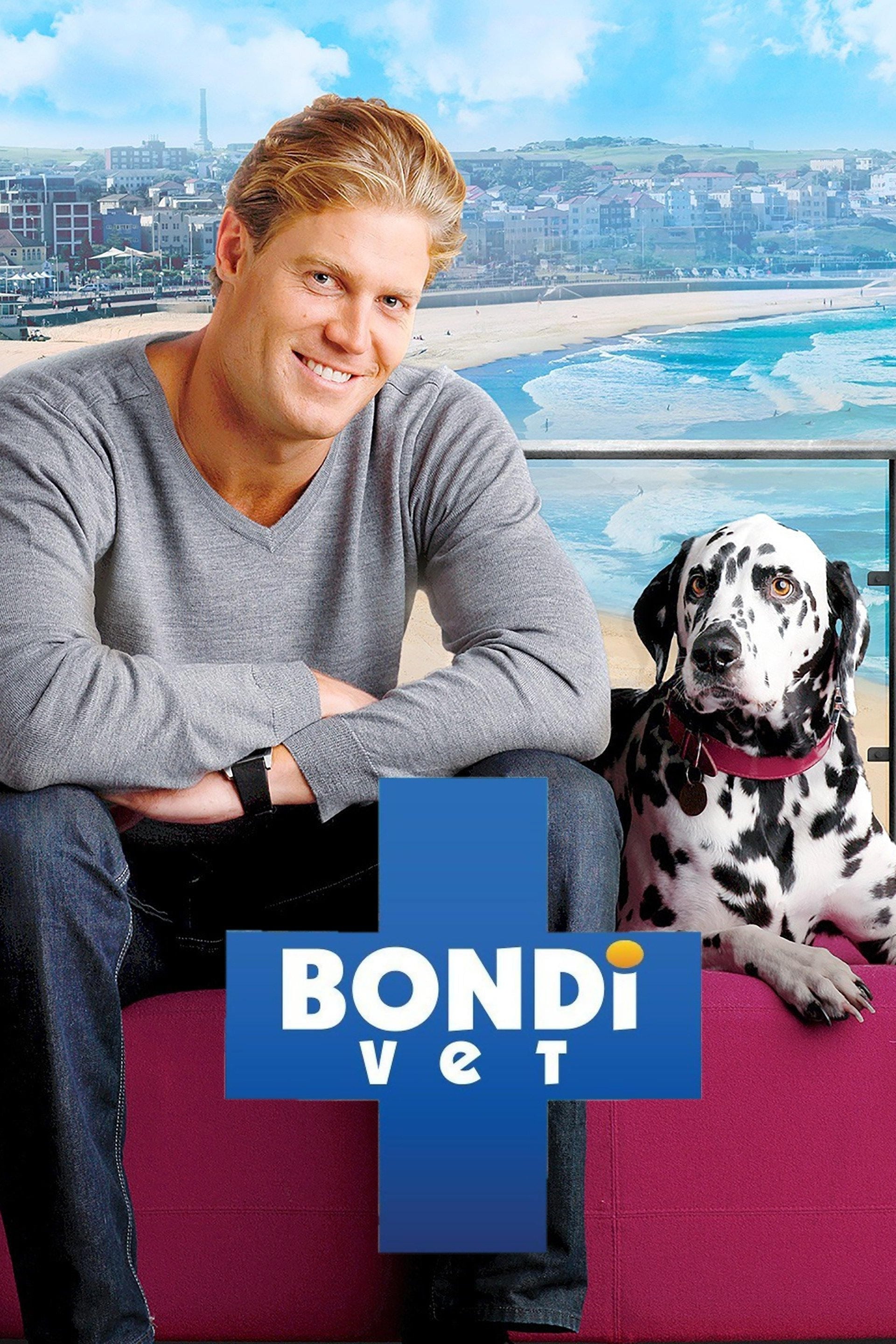 Bondi Vet | Bondi Vet