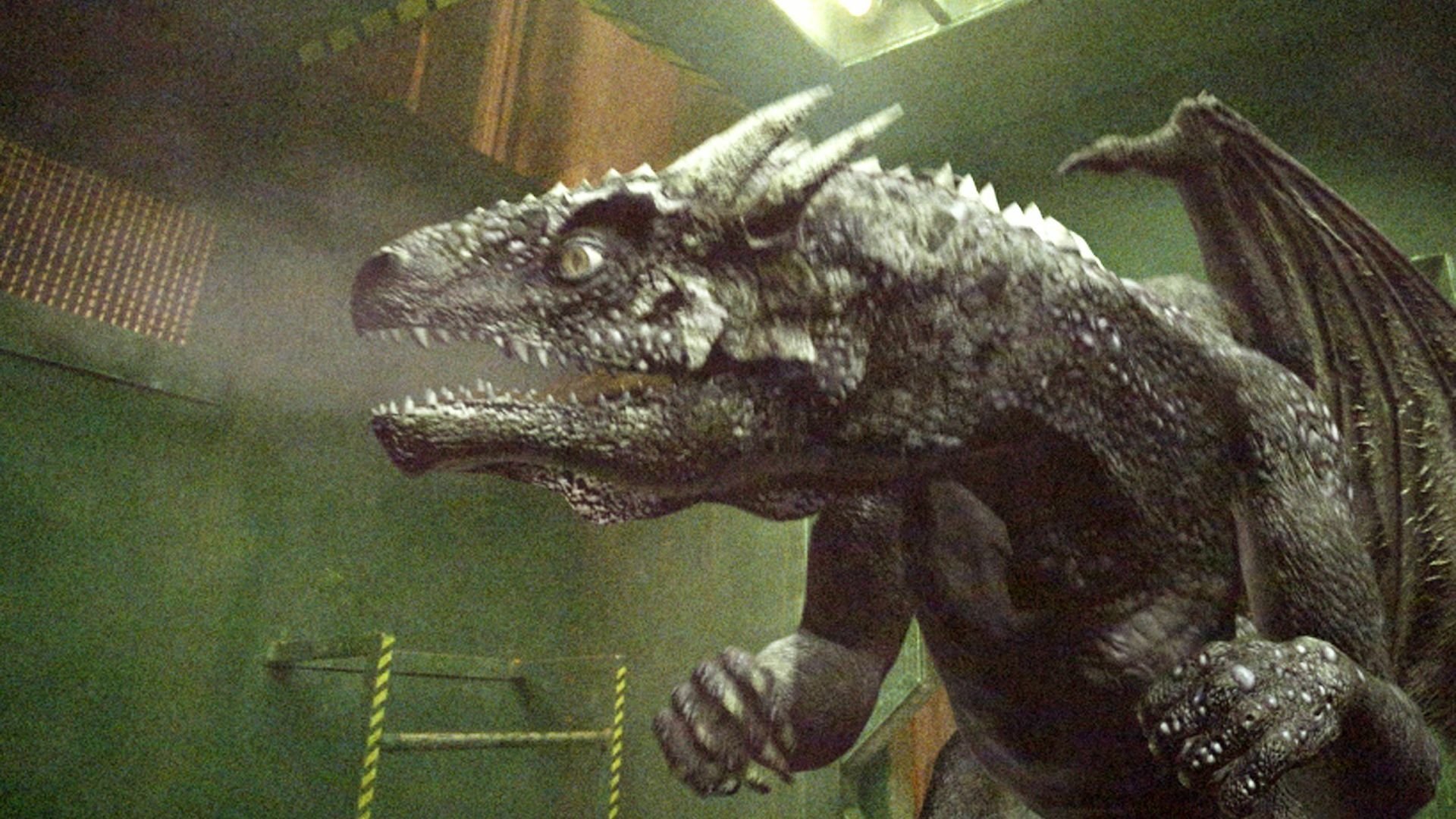 Dragon Fighter|Dragon Fighter
