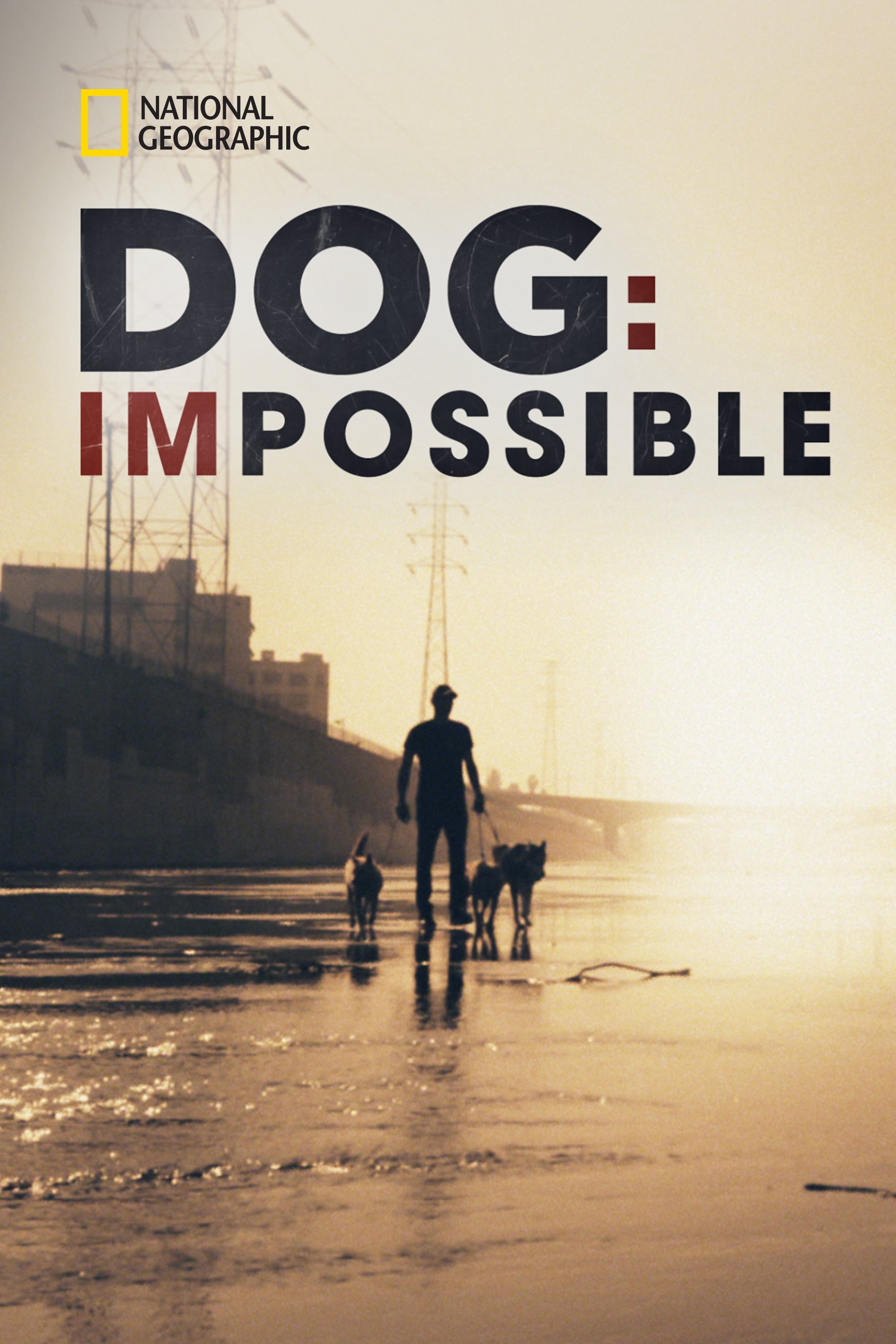 Dog: Impossible | Dog: Impossible