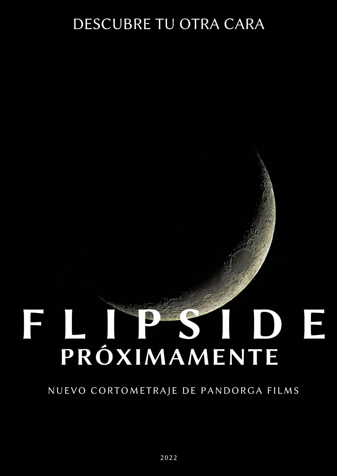 Flipside