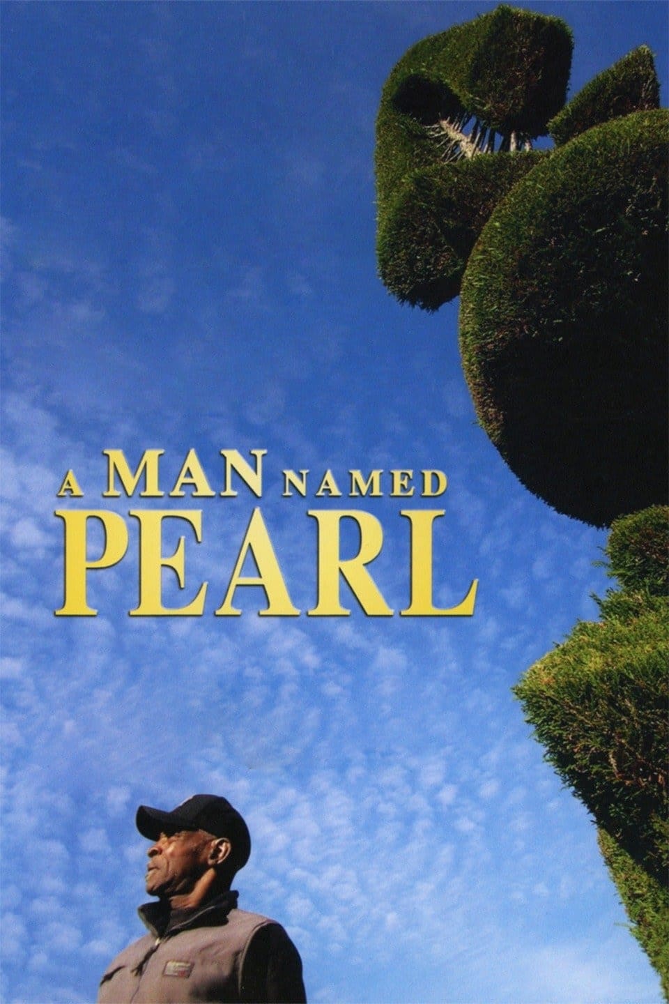 A Man Named Pearl | A Man Named Pearl