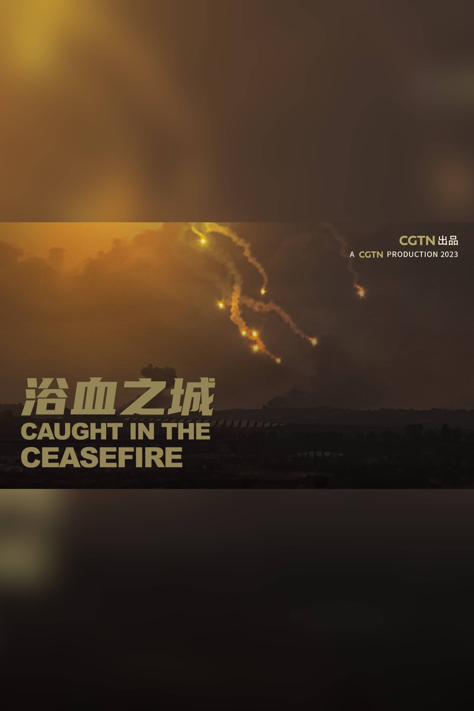 Caught in the ceasefire | Caught in the ceasefire