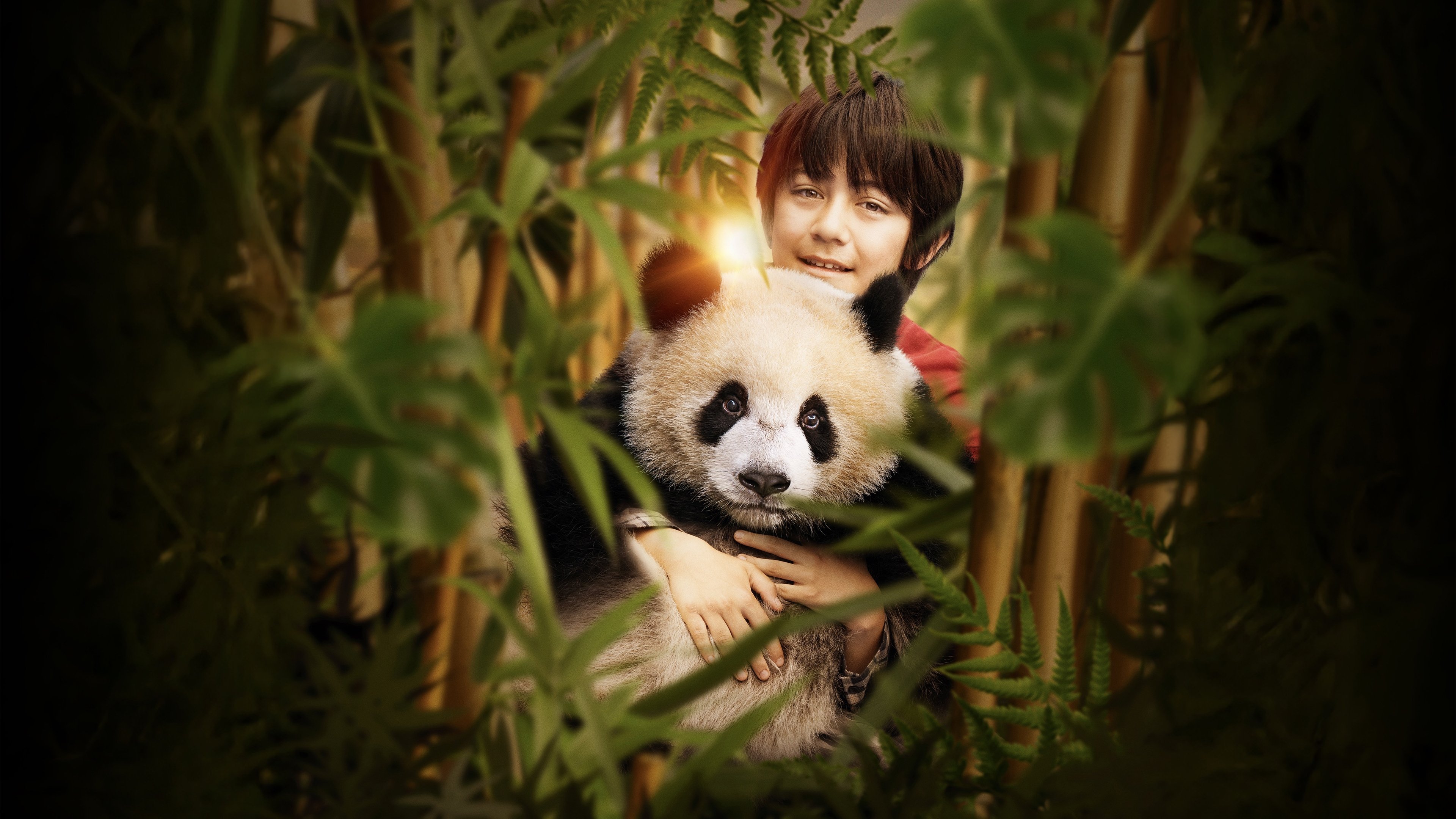 Moon le Panda|Moon le Panda