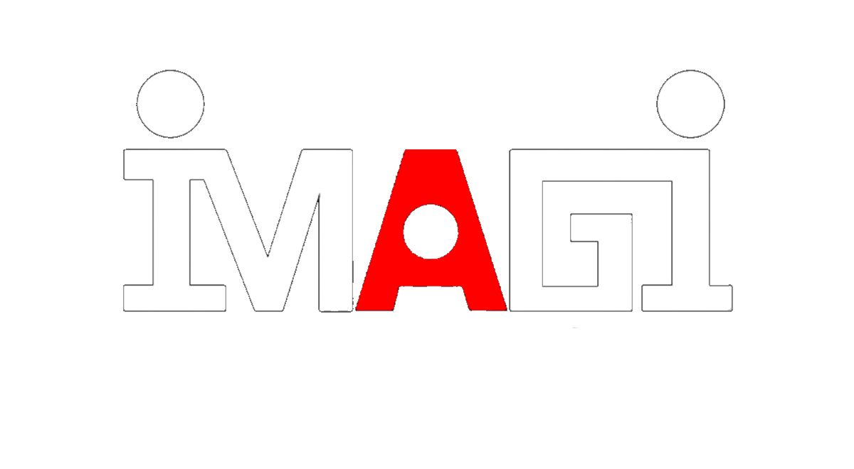 Imagi Animation Studios