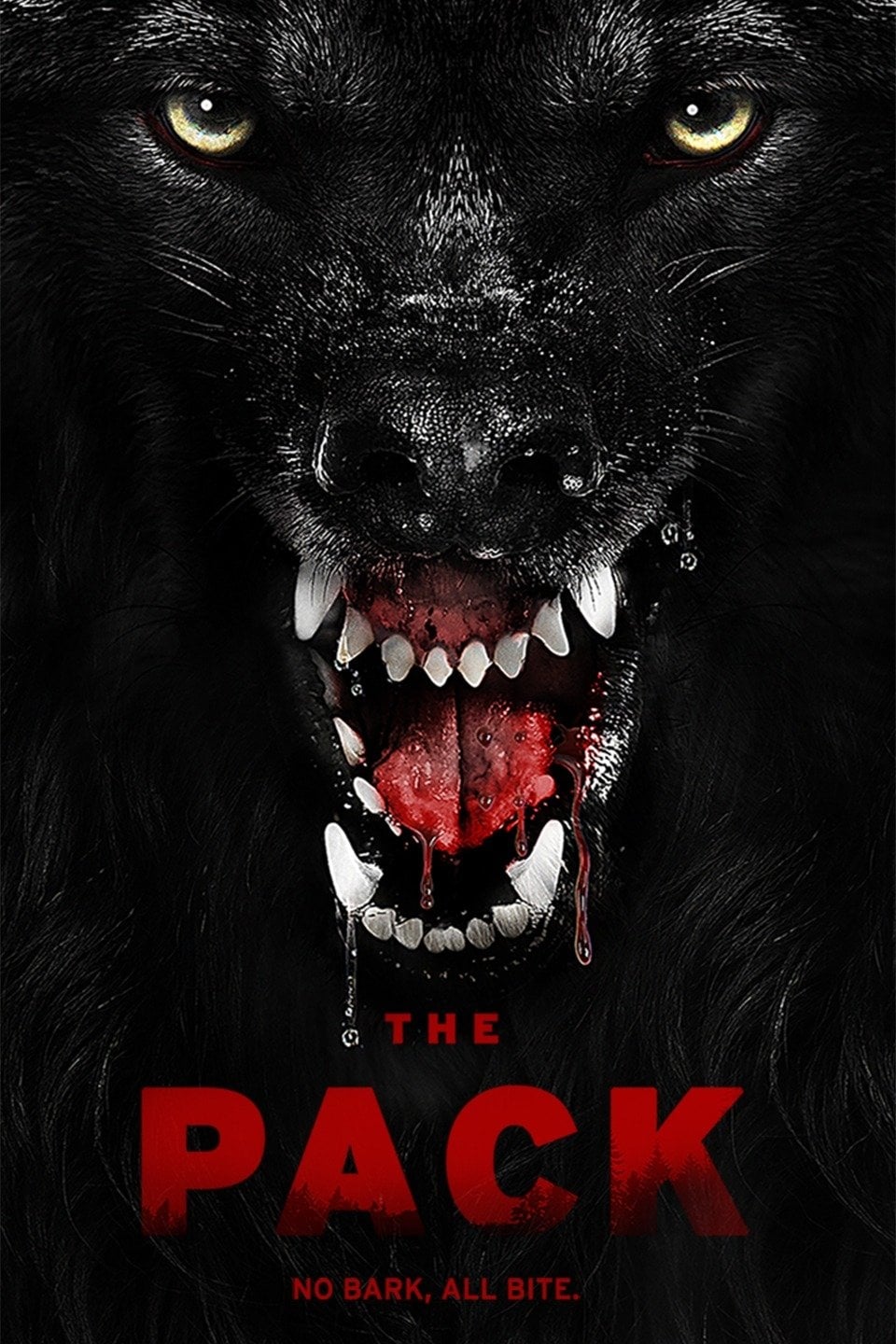 The Pack | The Pack