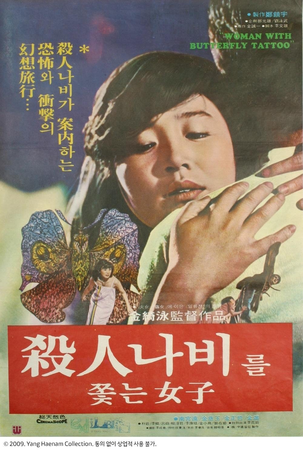 살인나비를 쫓는 여자 | 살인나비를 쫓는 여자