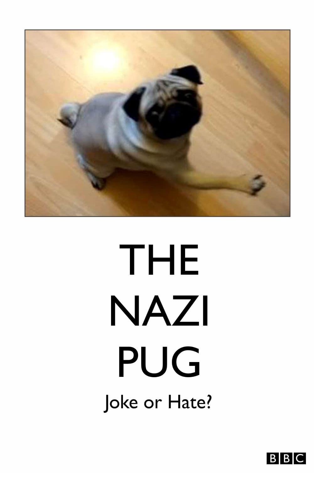 The Nazi Pug: Joke or Hate? | The Nazi Pug: Joke or Hate?