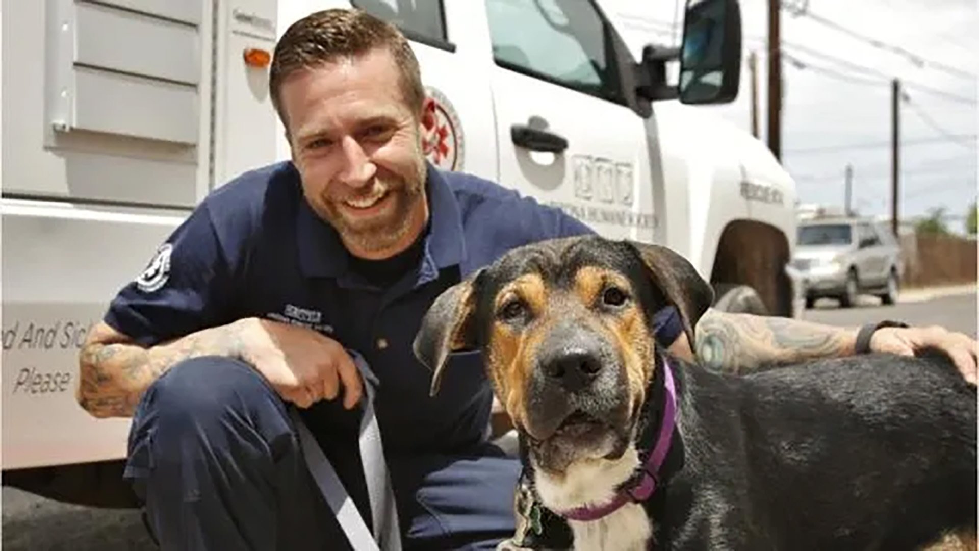 Animal Cops|Animal Cops