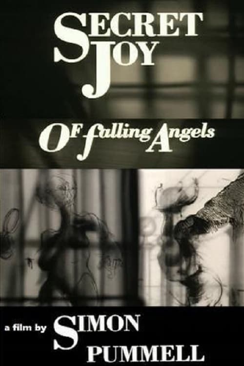 Secret Joy of Falling Angels | Secret Joy of Falling Angels