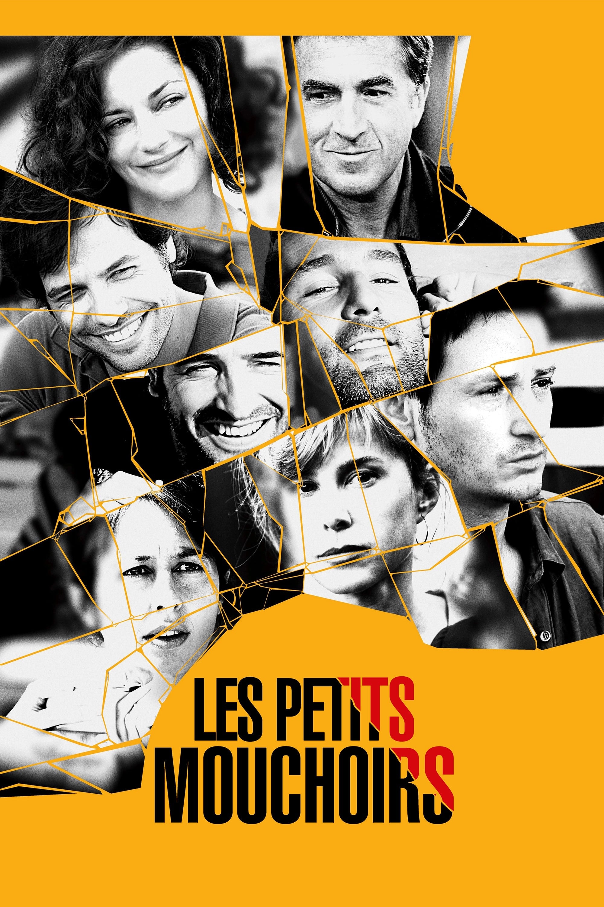 یک مقدار دروغ مصلحتی | Les Petits Mouchoirs