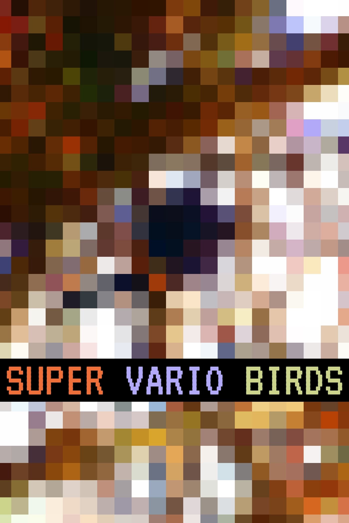 Super Vario Birds | Super Vario Birds