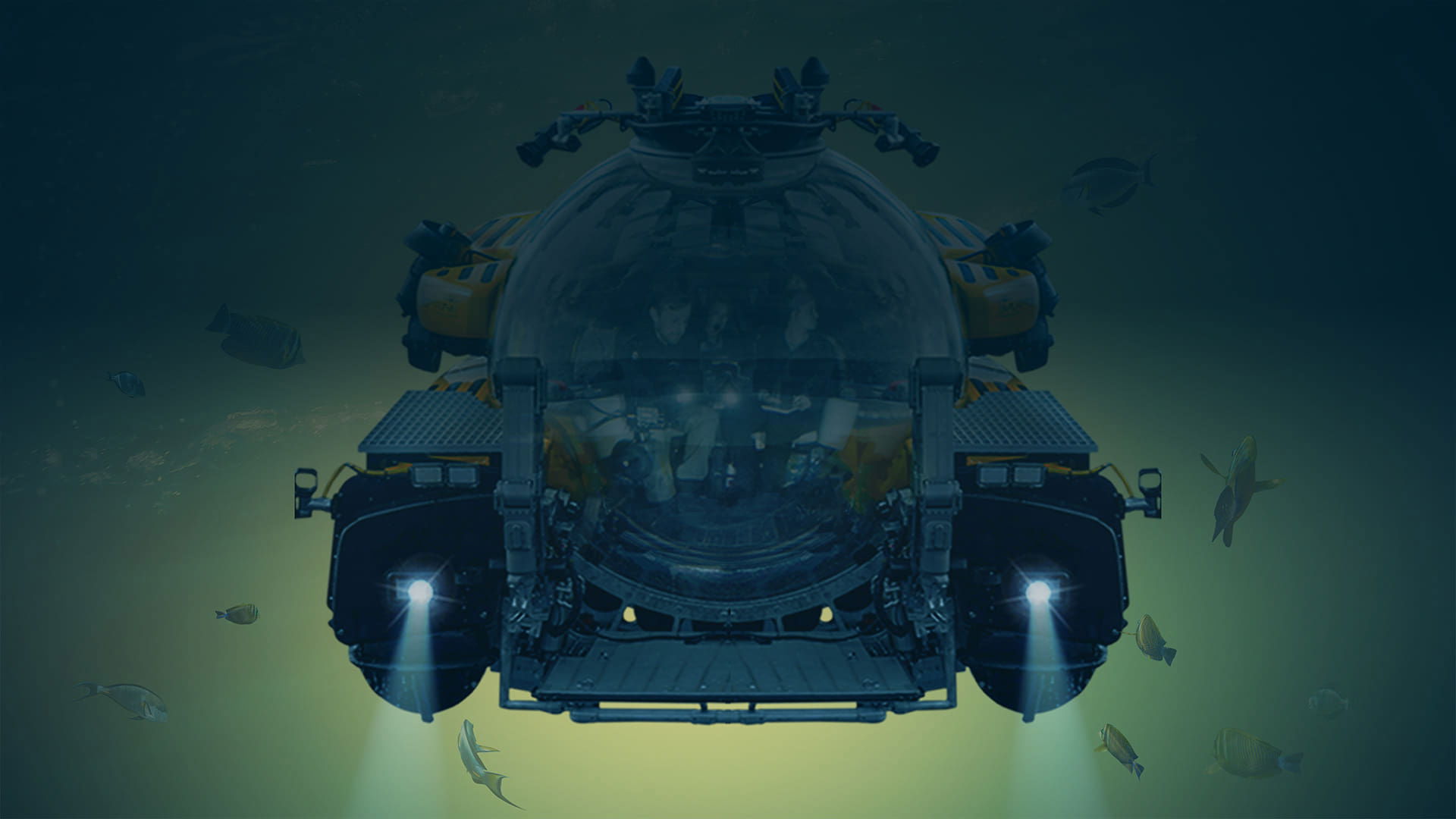 OceanXplorers|OceanXplorers