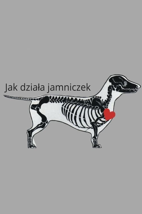 Jak działa jamniczek | Jak działa jamniczek