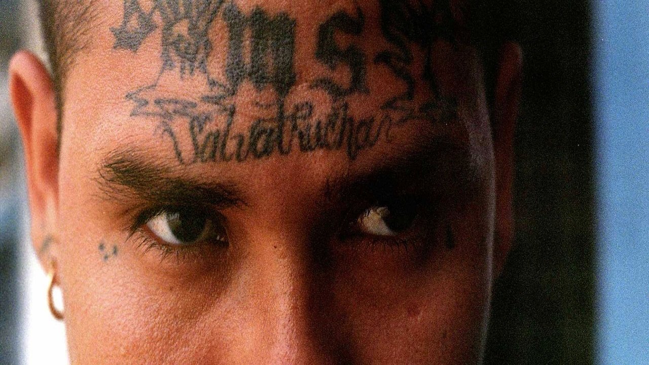 Hijos de la guerra|Hijos de la guerra